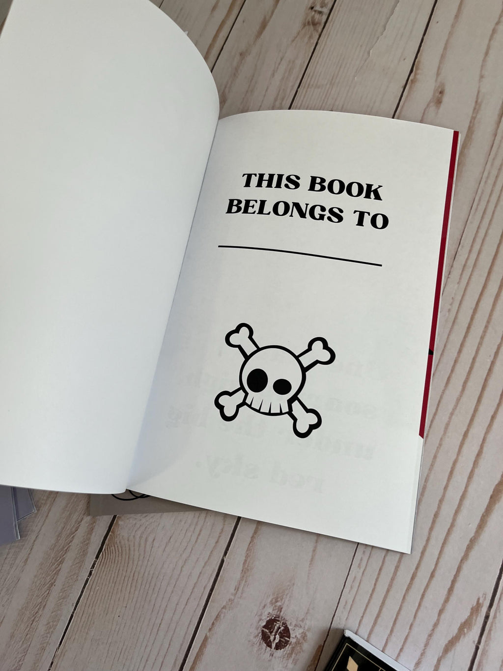 123’s For Little Rebels First Numbers Book