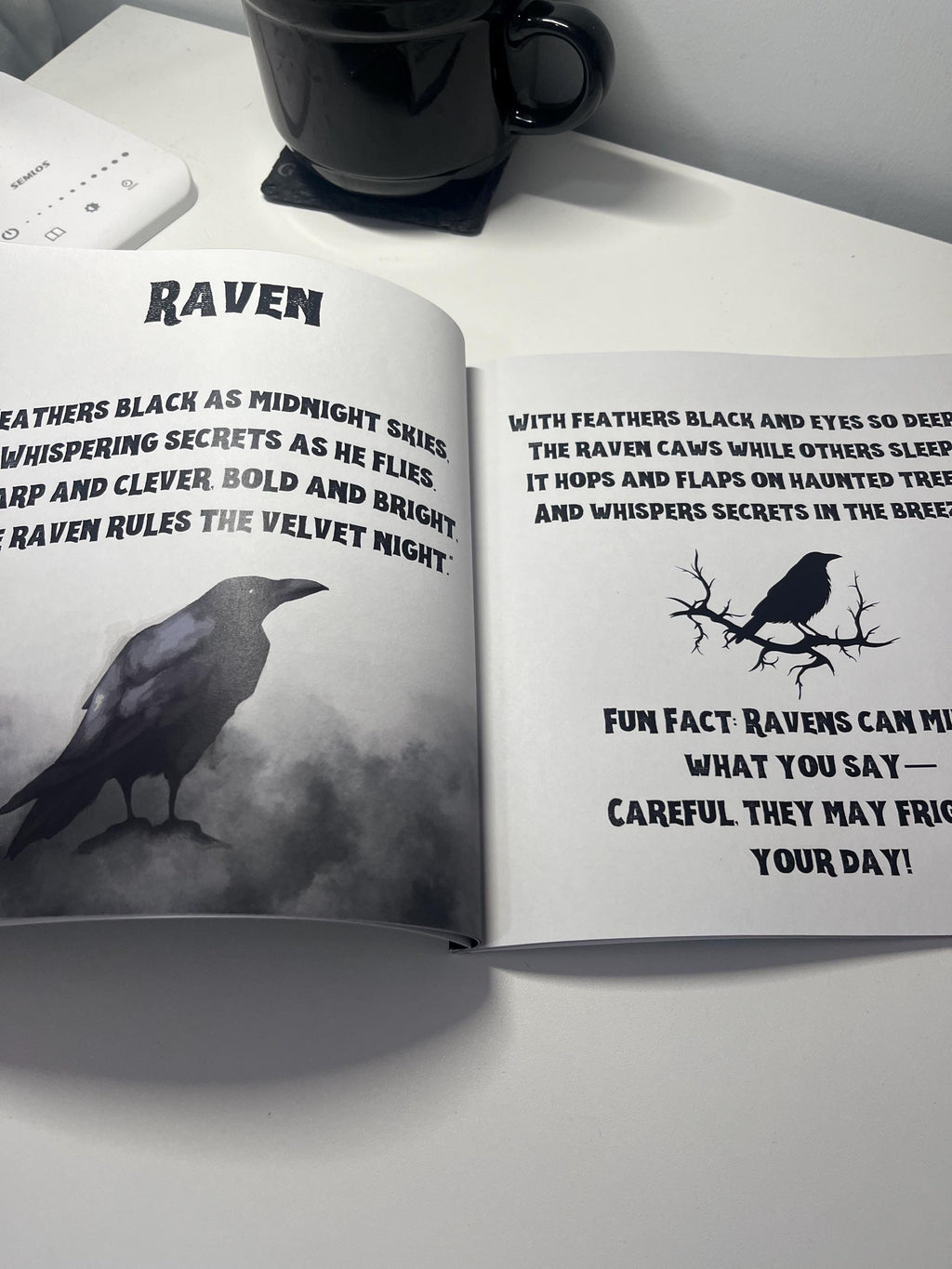 Creatures of The Night Gothic Kids Animal Book