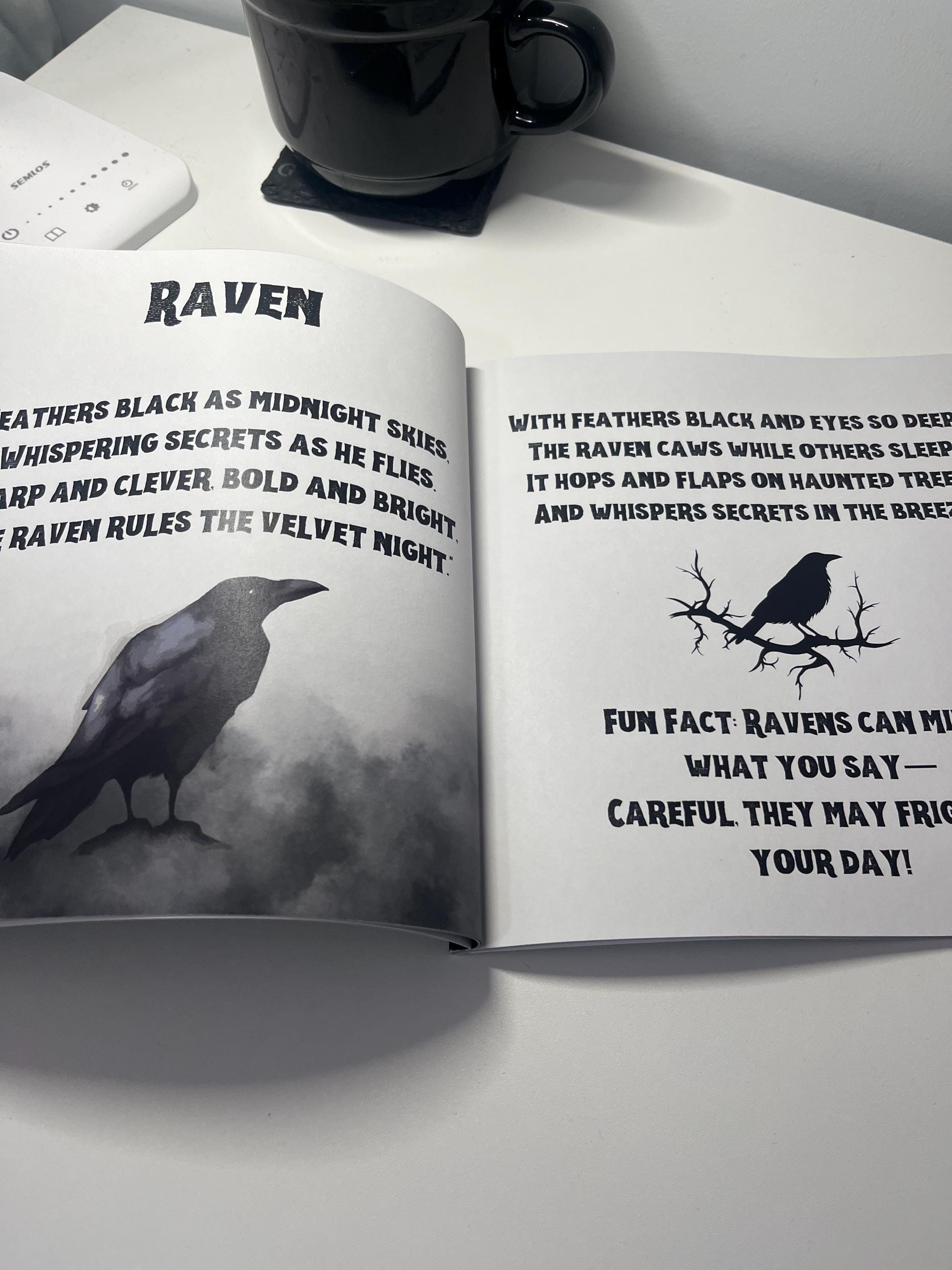 Creatures of The Night Gothic Kids Animal Book