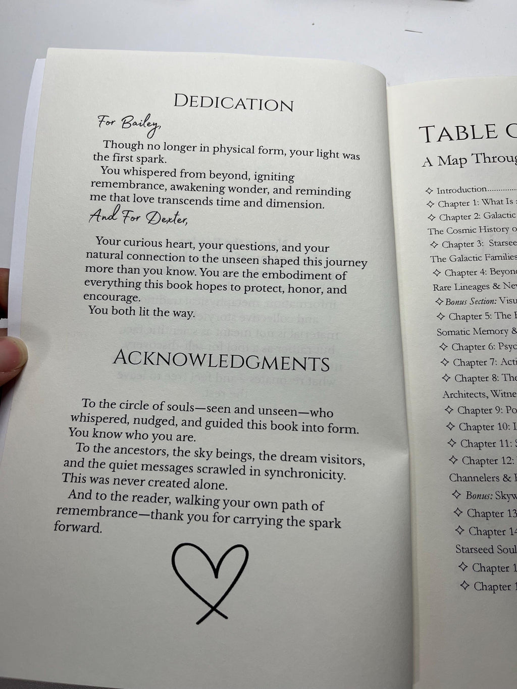 You're Not From Here: Starseed Guidebook by The Métis Witch