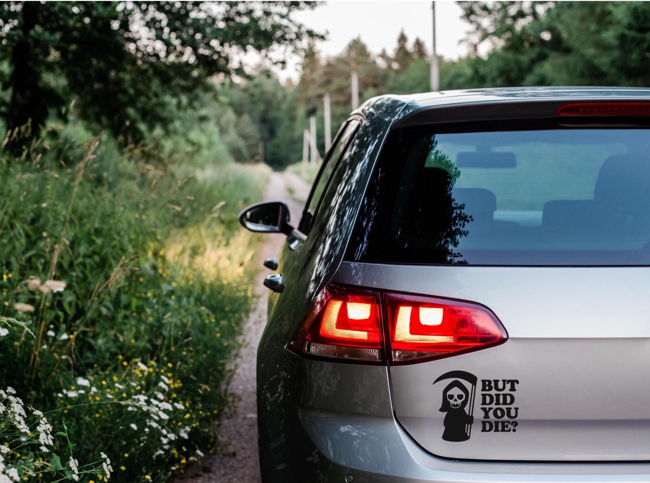 But Did You Die Funny Vehicle Decal: Hilarious Vinyl Decal