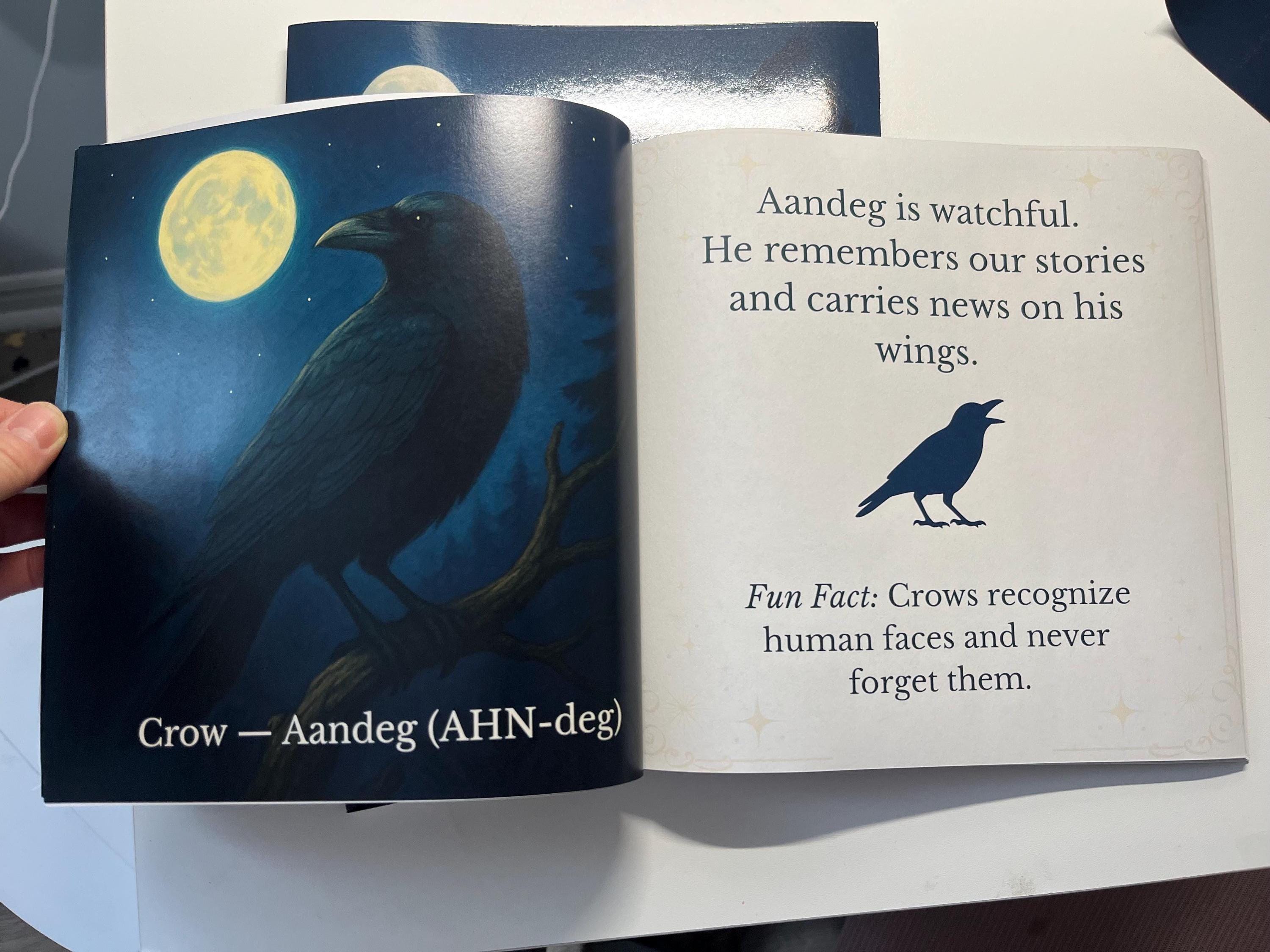Anishinaabemowin Animal Names Book: Indigenous Learning, Métis Witch